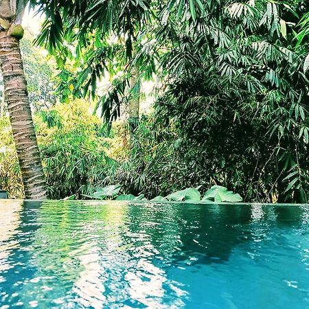 Ngesil Private Joglo & Pool Hotell Ubud Exteriör bild