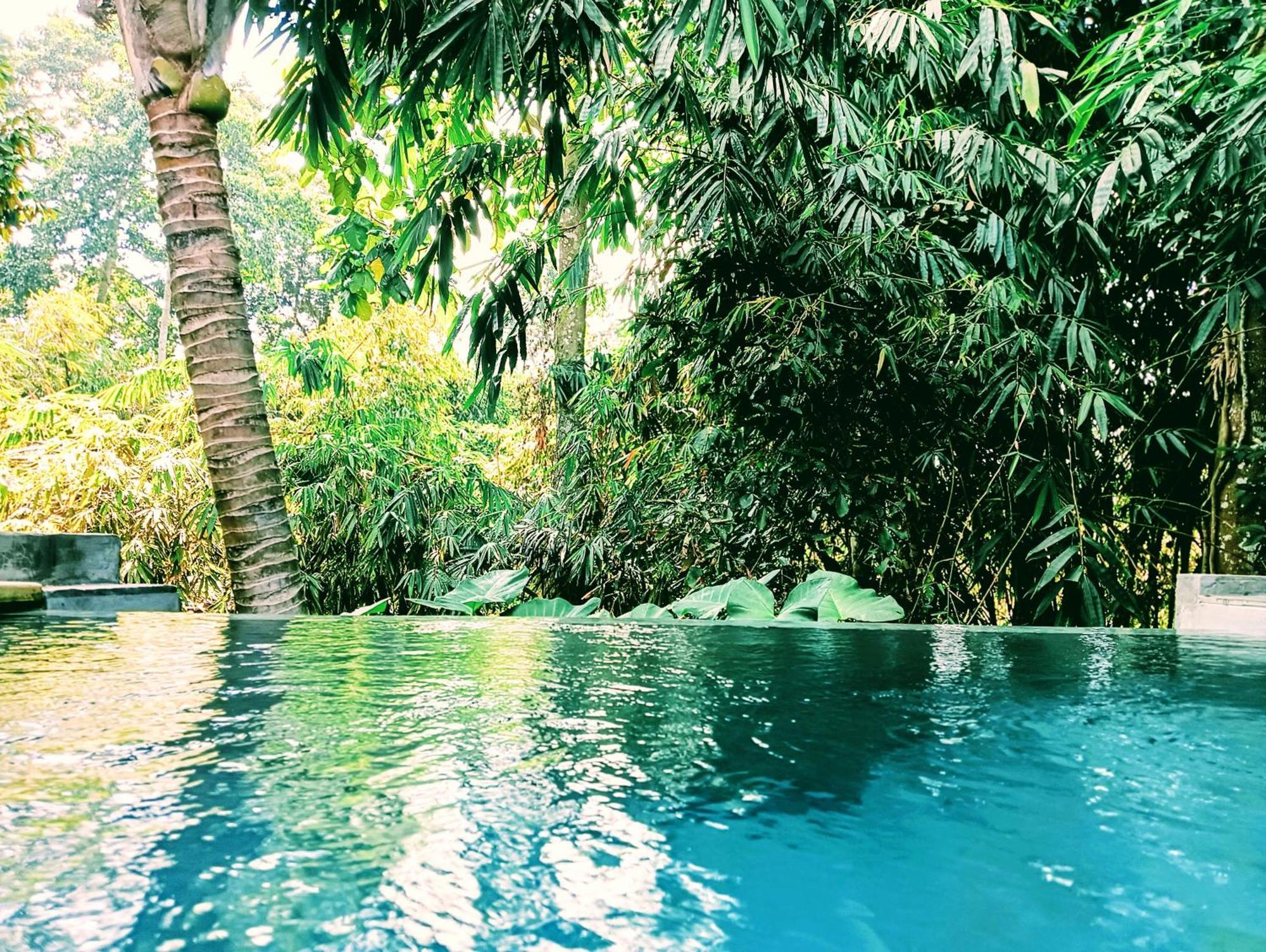 Ngesil Private Joglo & Pool Hotell Ubud Exteriör bild